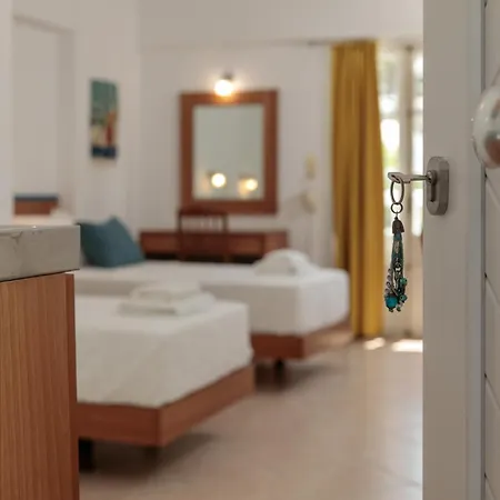 Evexia Naxos 公寓 *