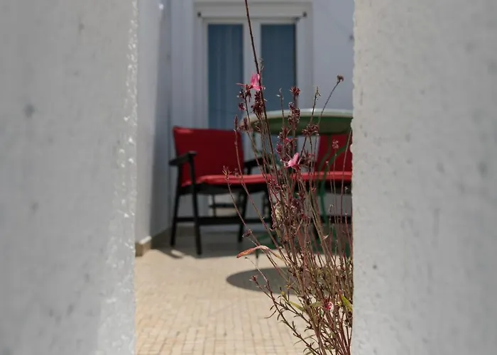 Evexia Naxos Apartment