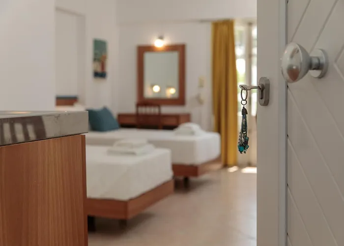 Evexia Naxos Apartman *